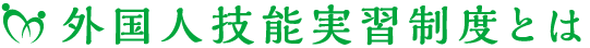 外国人技能実習制度とは